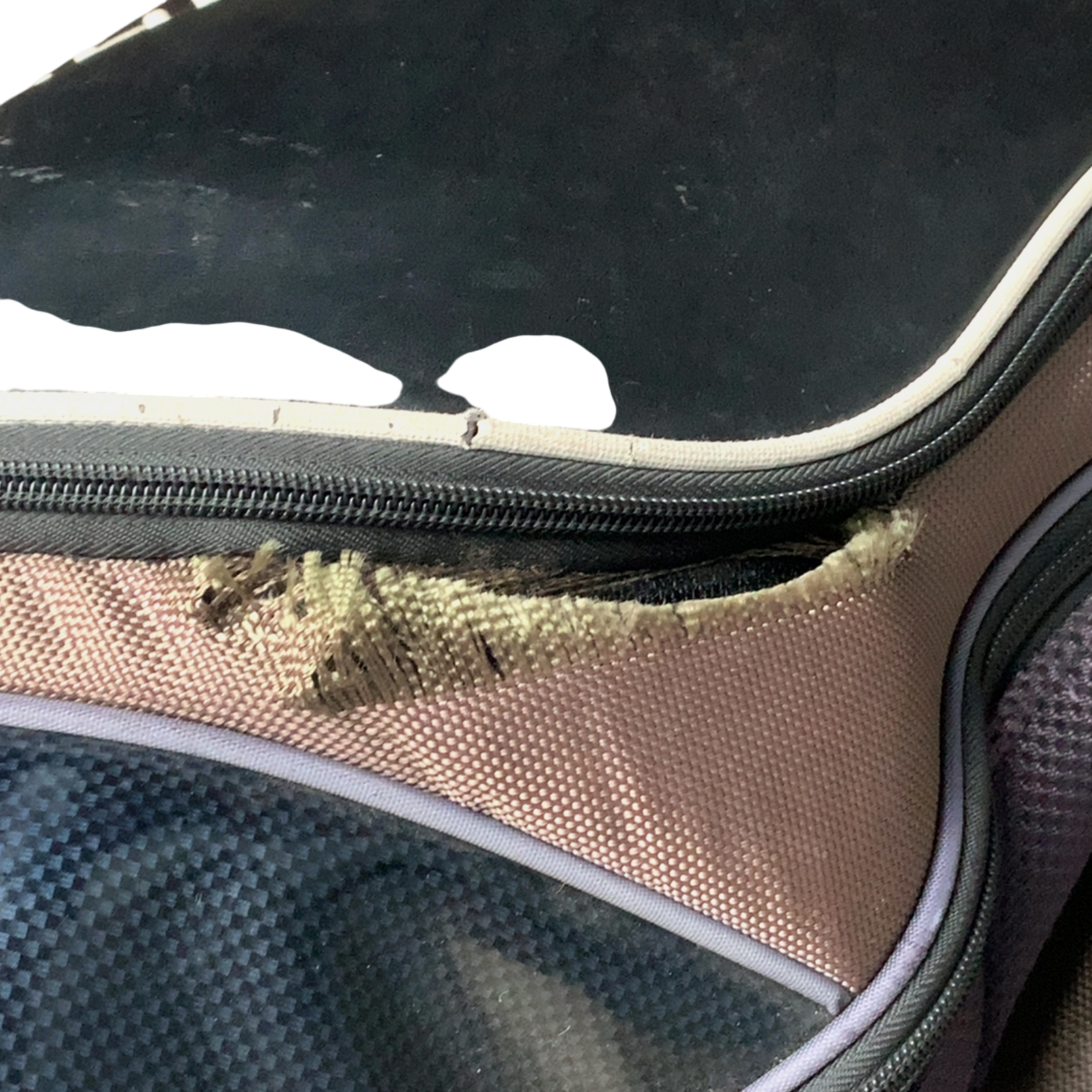 Golf Copenhagen  Golf Bag / 11-Rum / Sort